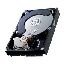 Cargar imagen en el visor de la galería, X306-WKOJN02TSSM NetApp 2TB 7200RPM SATA 3Gbps 64MB Cache 3.5-inch Internal Hard Drive - MFerraz Tecnologia