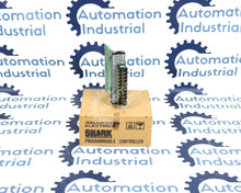Load image into Gallery viewer, 45C941 By Reliance Electric 115/230 VAC 16-Point AC Input Module Shark XL
