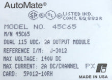 Load image into Gallery viewer, 45C65 By Reliance Electric Dual 115 VDC 2A Output Module NSNB AutoMate
