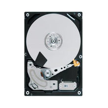 Cargar imagen en el visor de la galería, X306-HMARK02TSSM NetApp 2TB 7200RPM SATA 3Gbps 32MB Cache 3.5-inch Internal Hard Drive - MFerraz Tecnologia
