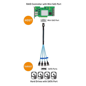 Cabo Internal Mini SAS to SATA Cable (SFF-8087 to SATA Forward Breakout) 3.3 Feet-FoxTI